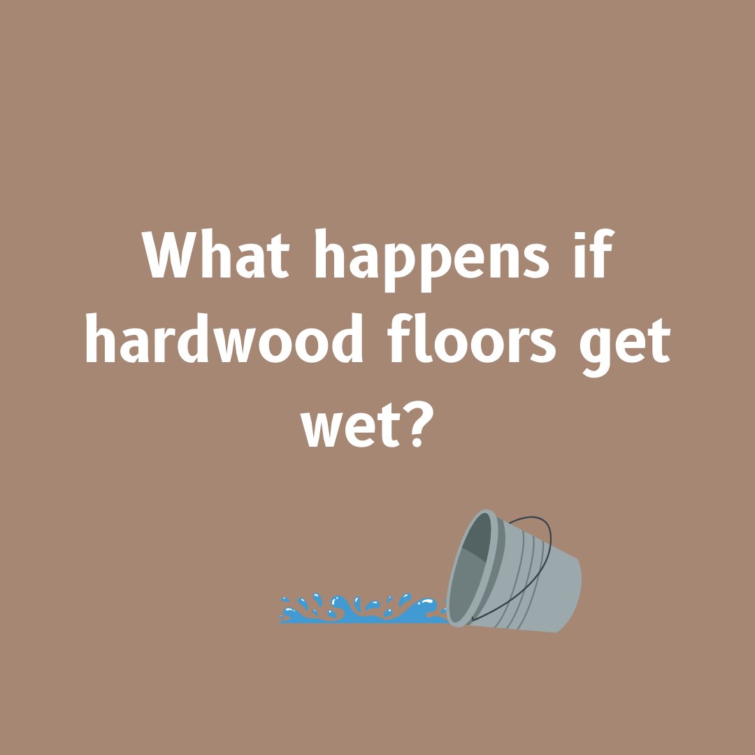 FlooringMy's tweet photo. We’ve all heard that wood and water are not a great combo. But what happens when hardwood floors get wet? 

A little spill? A flood? Read through to learn more. 
#hardwoodfloors #flooring #floors #wetfloors https://t.co/kmEGIDk3xt