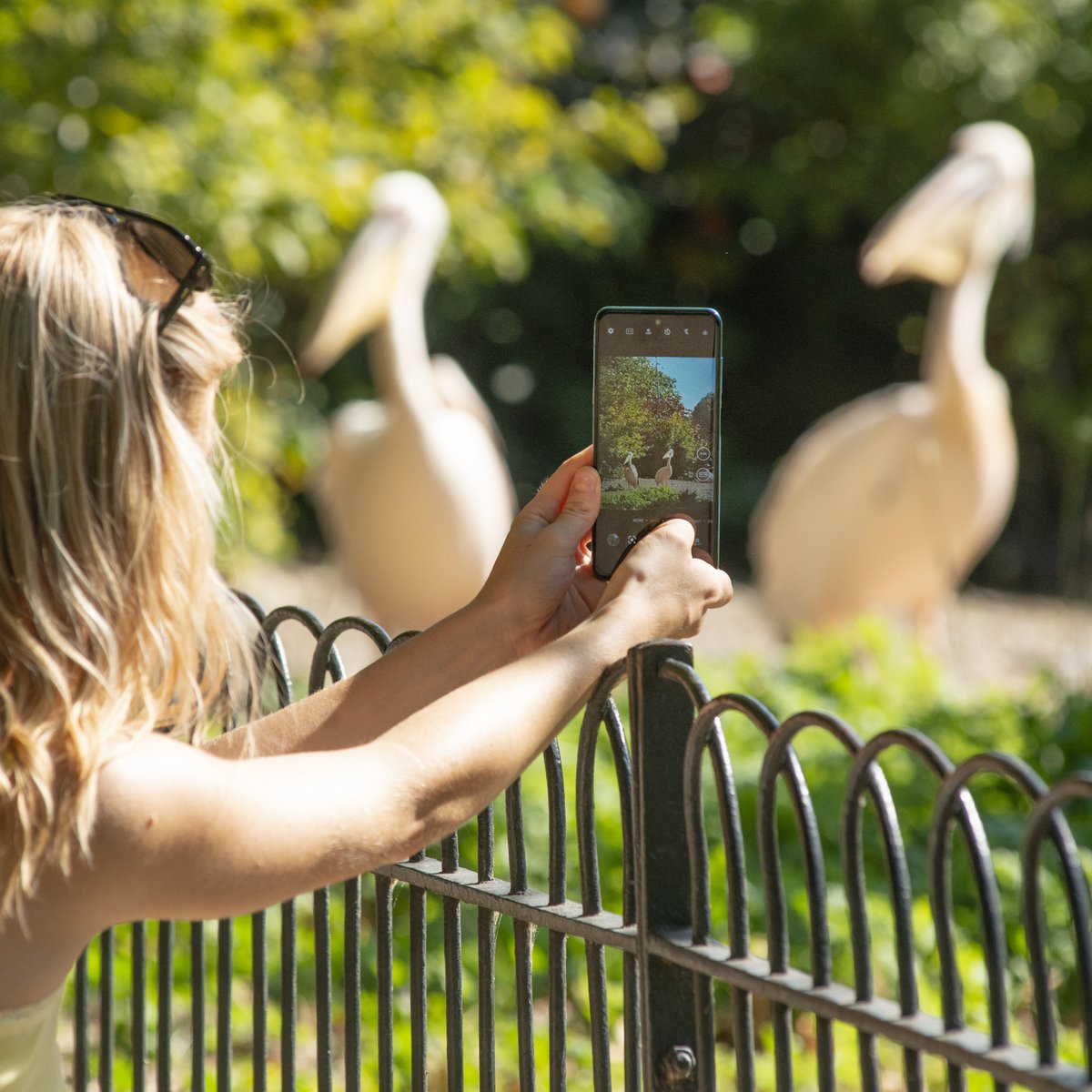 Capture life in a brand new light. ☀️

Your TCL mobile's camera is just as great as your DSLR. Perfect for capturing nature in the park without losing any resolution or clarity.

Taken any good pictures recently? Make sure to share them with us! 📸

tcl.com/au/en/mobile.h…