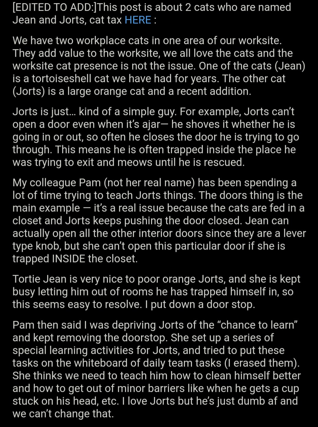 AITA reddit thread on two cats, Jean and Jorts