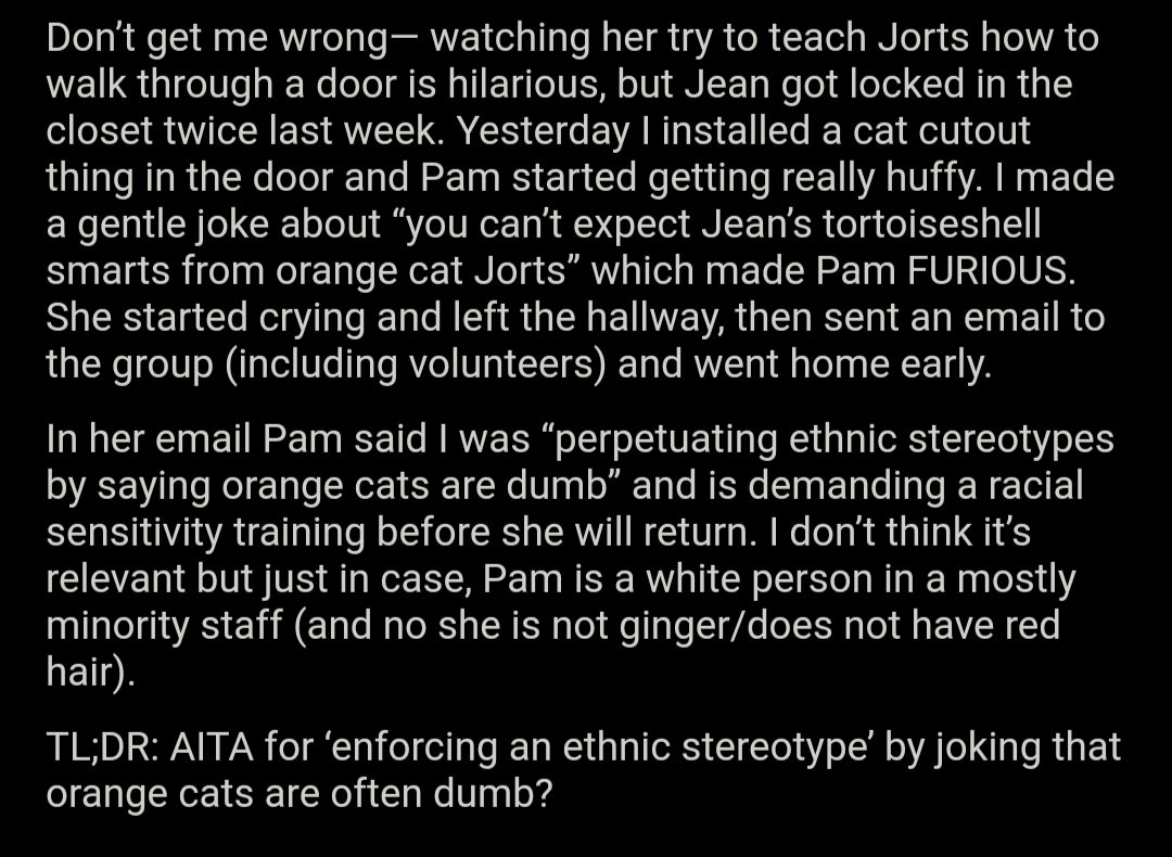 AITA reddit thread on two cats, Jean and Jorts