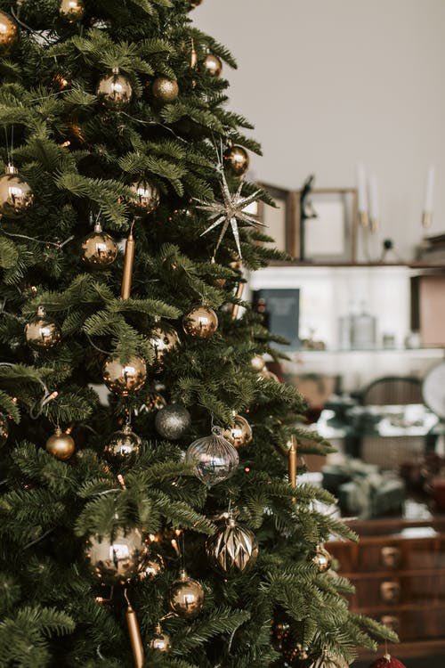 PotomacEcycle's tweet photo. 🎄It’s the most wonderful time … to recycle! ♻️
Bring your old electronics to Potomac Ecycle!🙌

https://t.co/pOZmbSaGjv

#ewaste #recycling #Christmas https://t.co/hpeEssu41H
