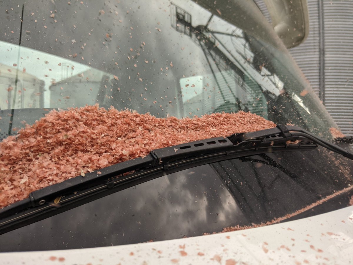 Brian Scott tweet media