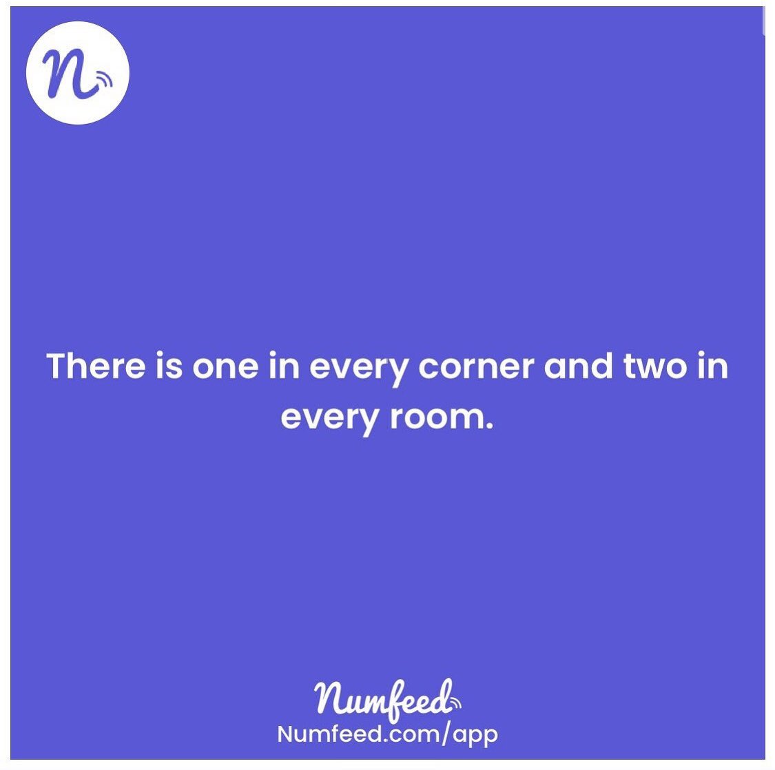 numfeed tweet media