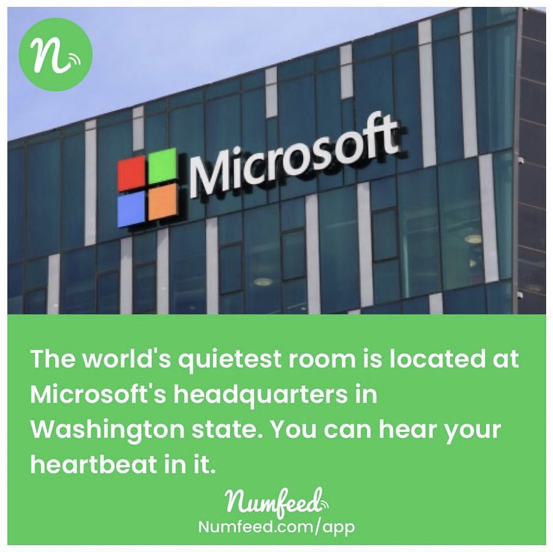 numfeed tweet media