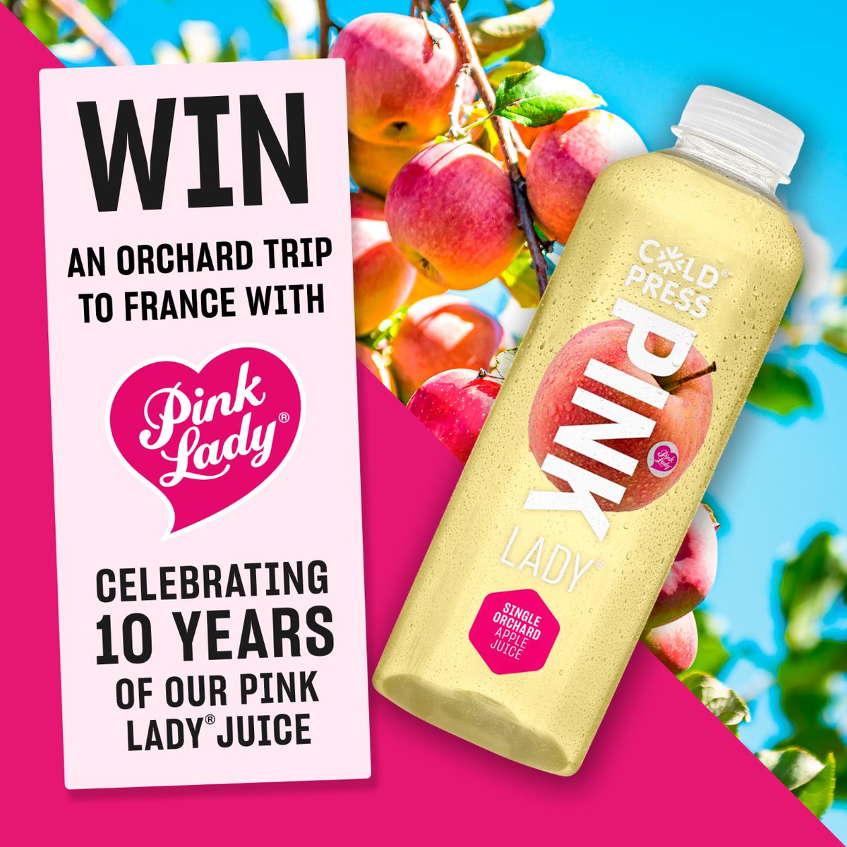 fabnewslive's tweet photo. Coldpress Juices Celebrate 10 Year Union With Pink Lady Apples https://t.co/CTd5KPU31d @ColdpressJuices #PinkLadyApples #FABNews https://t.co/5j1nWcl5kE