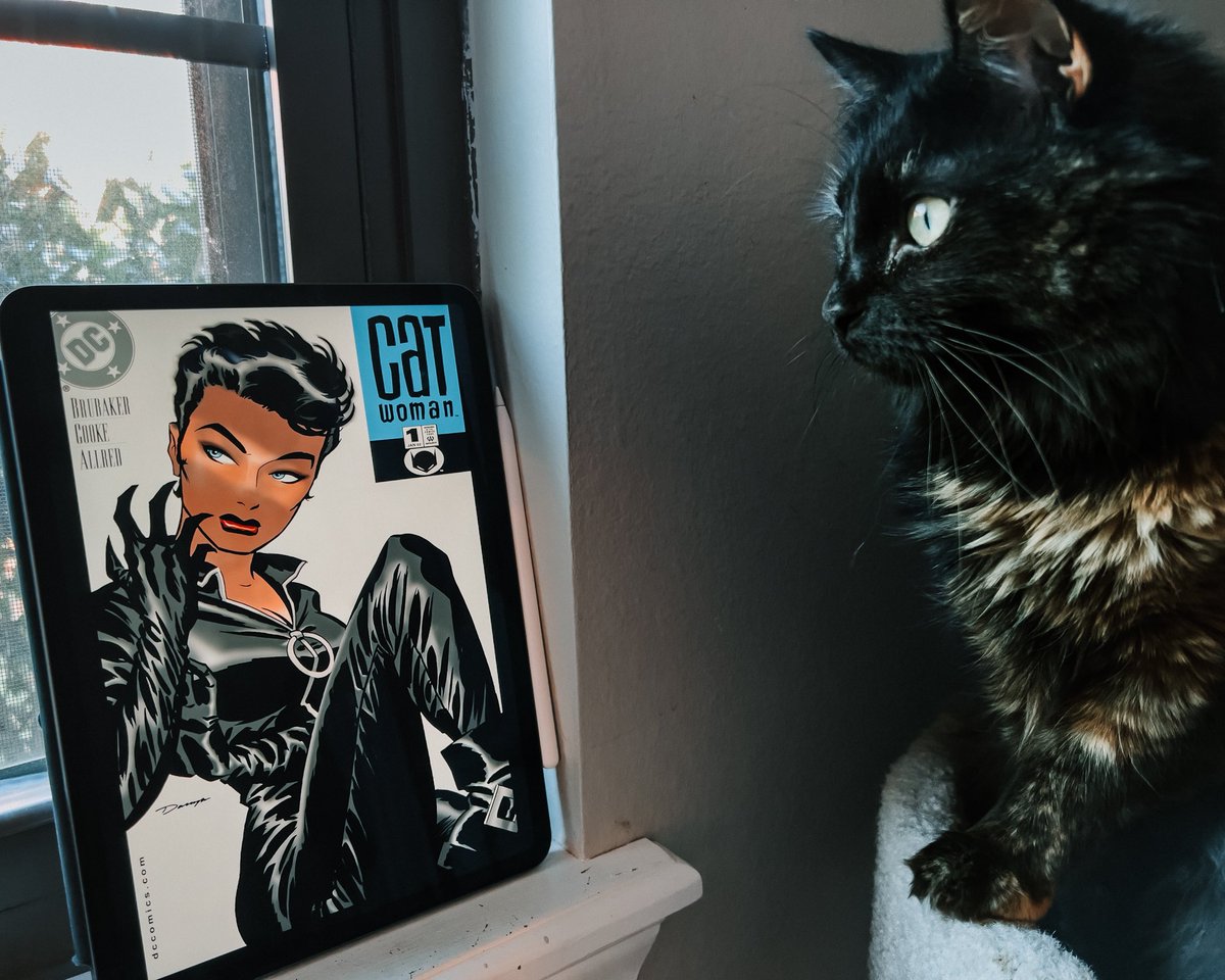 What are you reading today? Roo settled in for one of her favorites. 12/10 going to buy the floppies if she can hunt them down. 
.
.
.

#marvel #marvelunlimited #mcu #comics #spiderman #dc #dccomics #comicbooks #dcextendeduniverse #cats #catsofinstagram #podcats