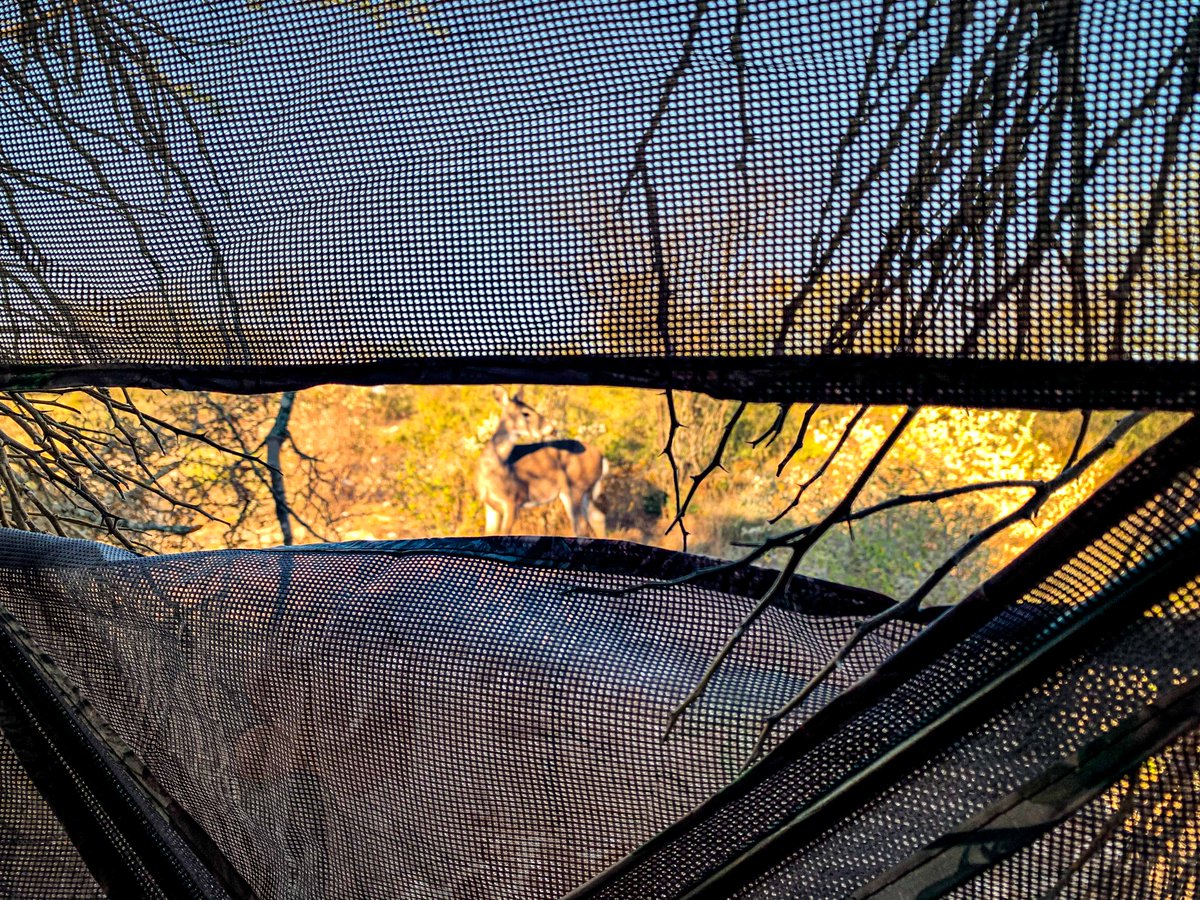 WTD_tv's tweet photo. Our current view from inside the @MuddyOutdoors  Prevue 3 Blind. 

#muddyoutdoors #gomuddy #muddyprevue3 #huntingblinds #deerhunting https://t.co/mrUyrOTpBY