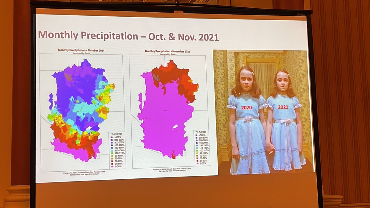 Peter Mayer tweet media