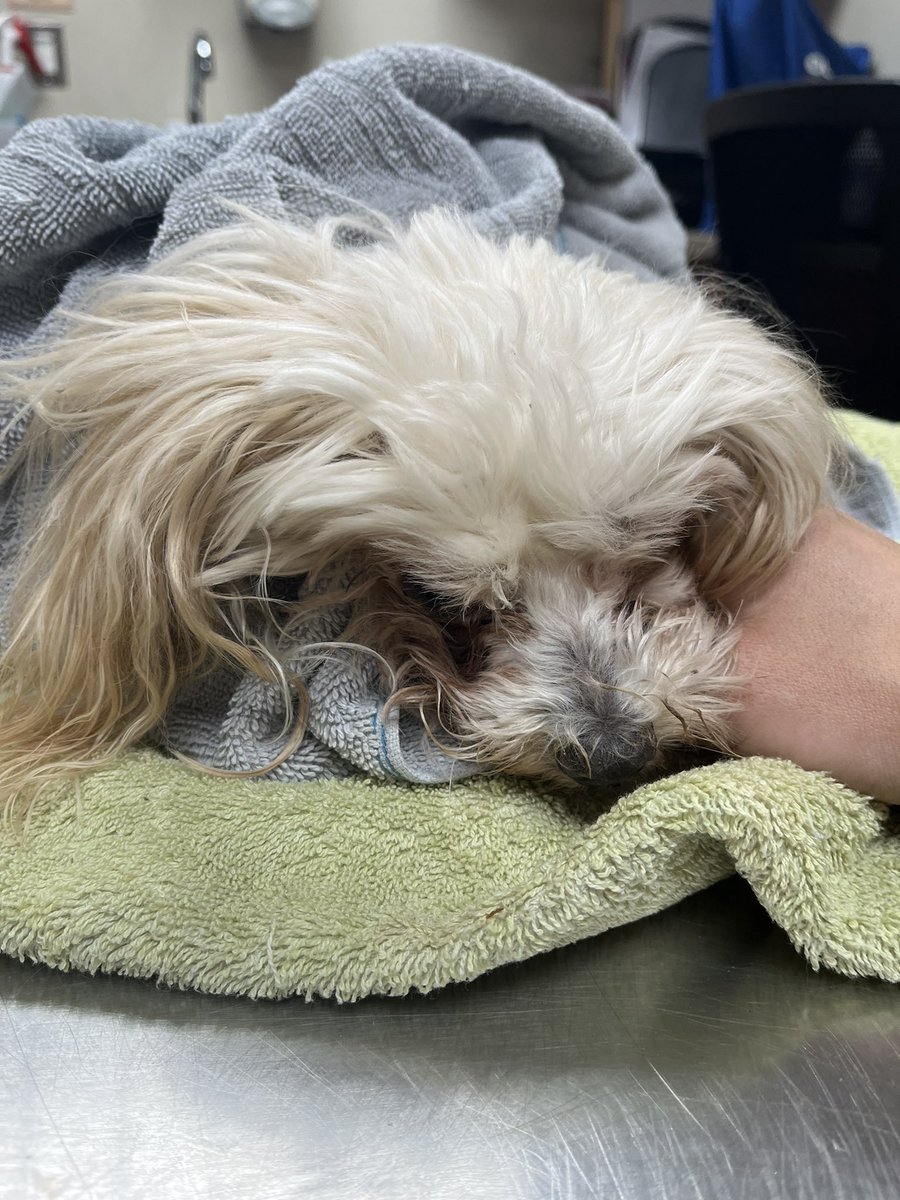 💐Guru 💐 tweet media