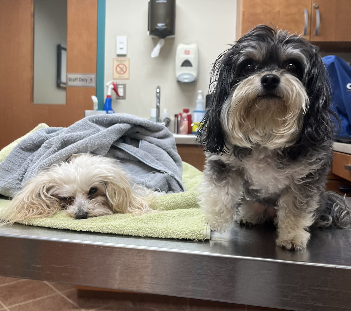 💐Guru 💐 tweet media