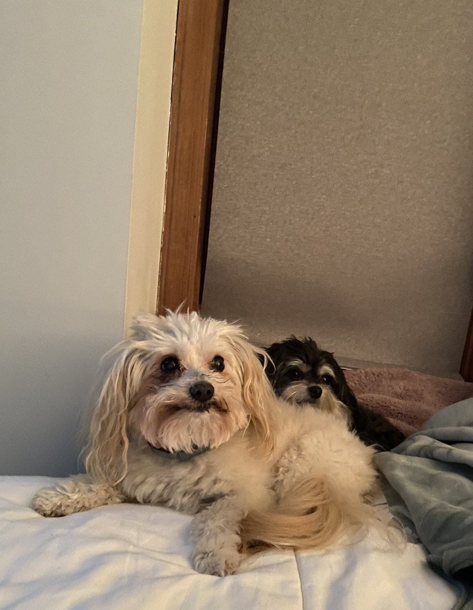 💐Guru 💐 tweet media