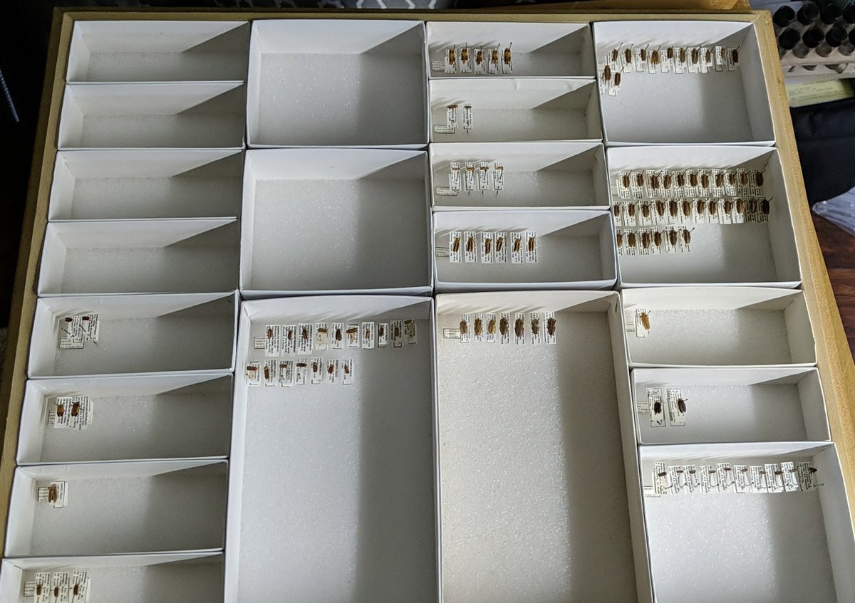 Oliver Keller Ph.D. tweet media