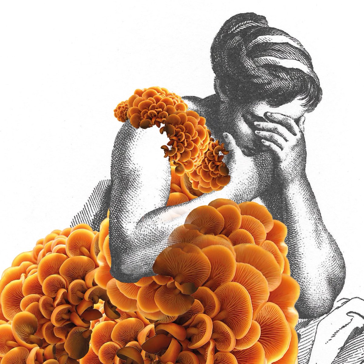 Soon my digital work will drop! Stay tuned… #ludovicamundsen
.LovelyToSeeYou. 
#ntf #digitalwork #cryptoart #ntfs #NFTcommunity #art #contemporaryart #digitalart #visualart