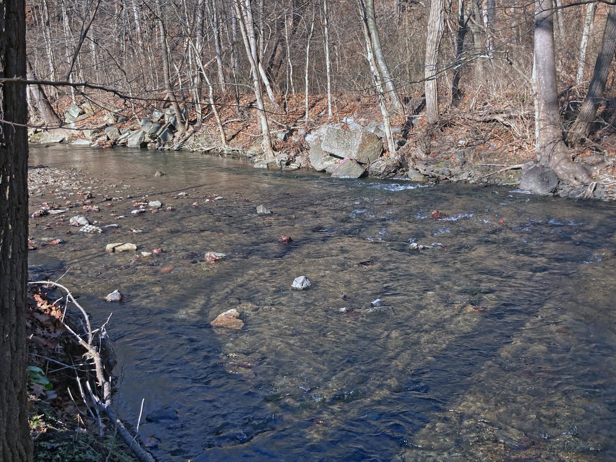 DCNRnews's tweet photo. DCNR announces $237,500 for rehabilitation efforts at Penn Hills Community and Universal parks in Penn Hills, @Allegheny_Co. The funds will help improve green space, install new play structures and make the parks accessible ➡ https://t.co/GYnEdm2z1O #DCNRgrants #KeystoneFund https://t.co/kMIhLy1HyW