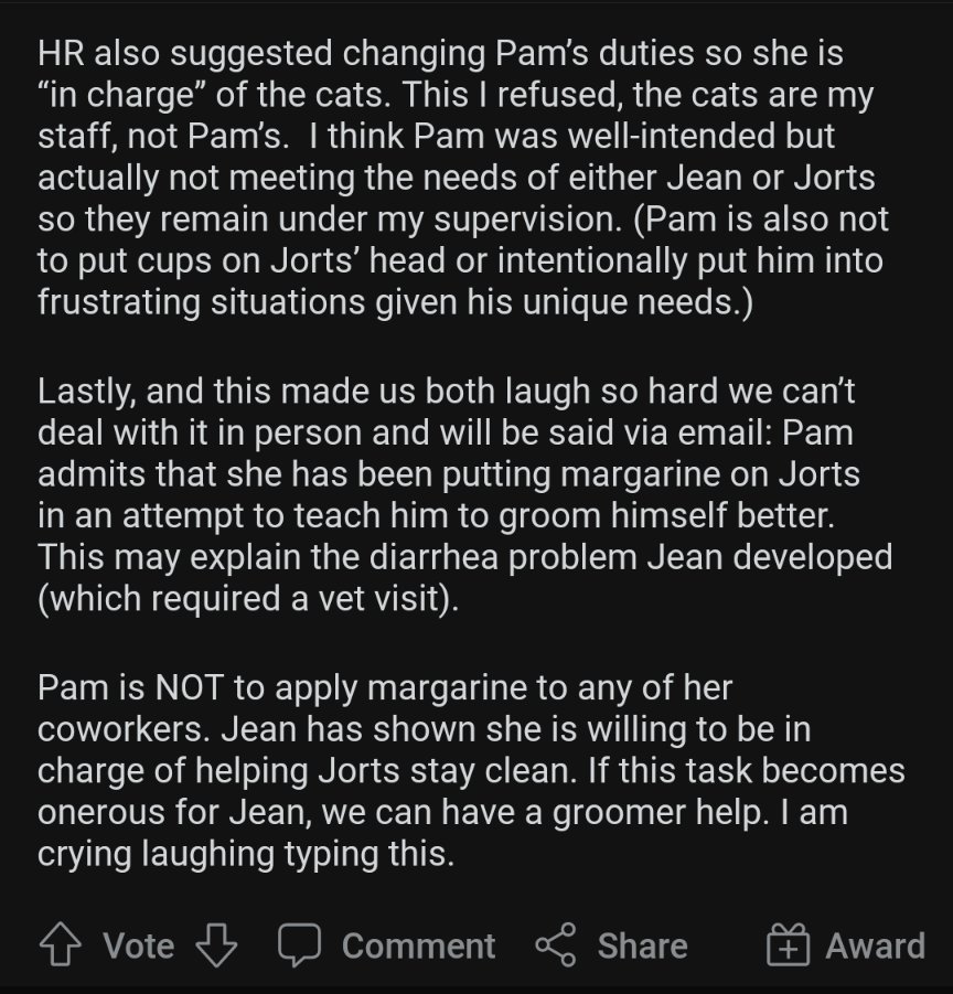 Update on AITA reddit thread on two cats, Jean and Jorts