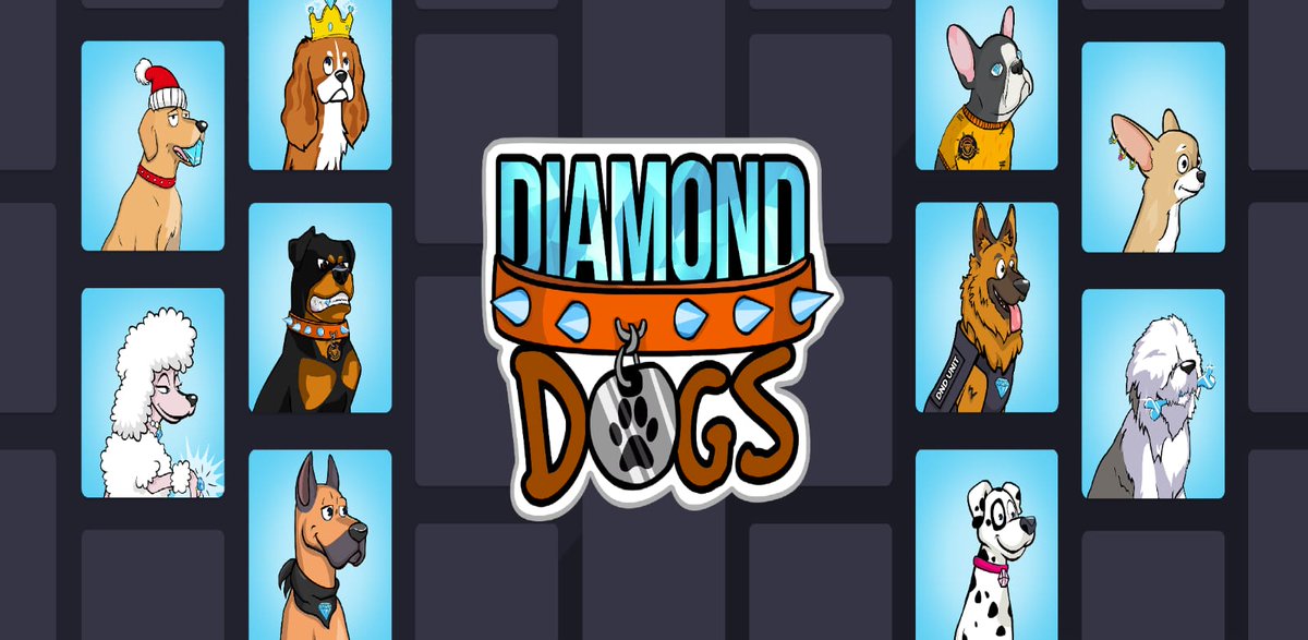 DIAMOND DND tweet media