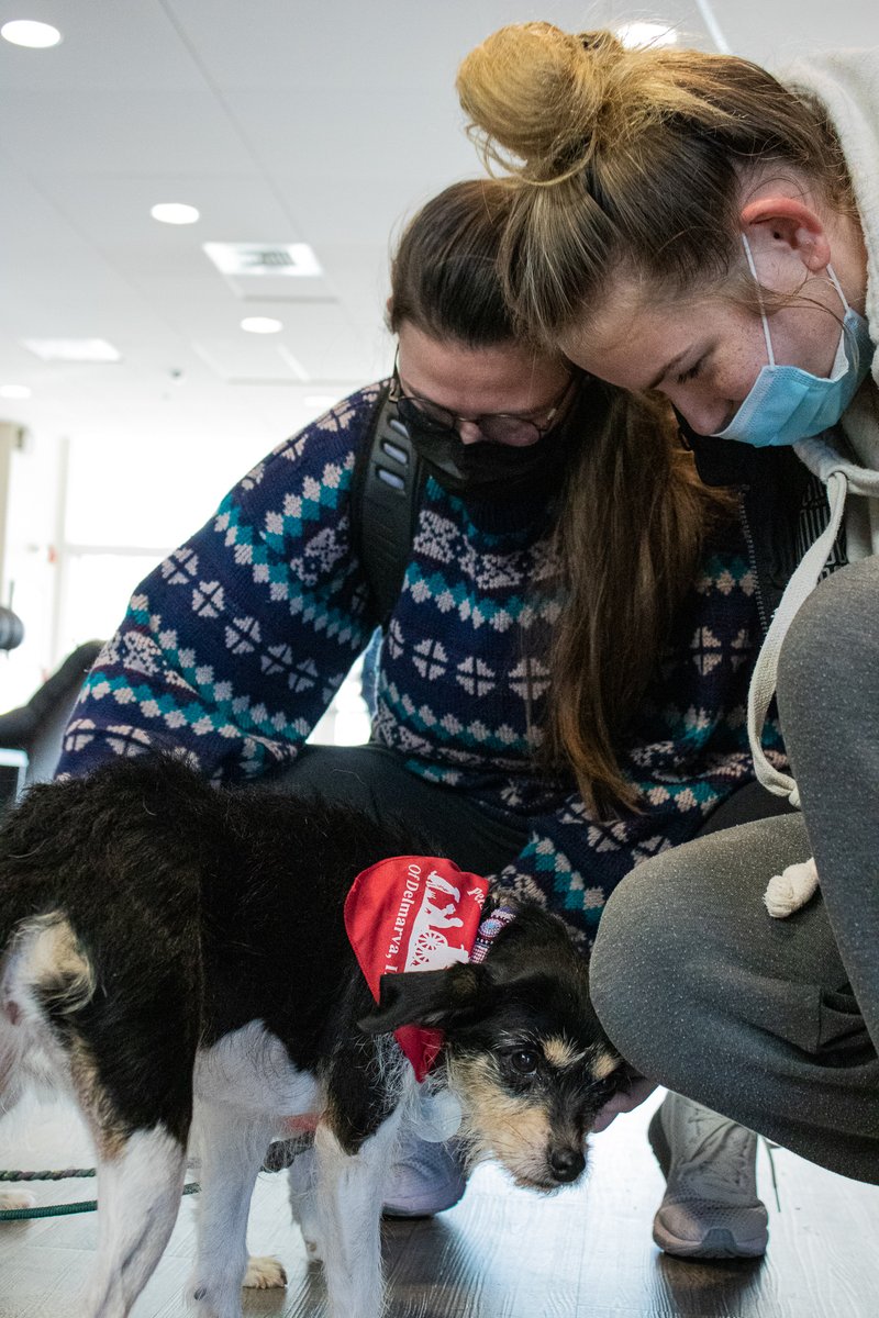 washcoll's tweet photo. Spending a little time with one of the visiting therapy dogs is a dog-gone great way for students to relieve some of that final exam stress! And in case you missed them, Gryff will be back on campus on both 12/15 and 12/16. #washcoll #finalsweek #therapydogsofinstagram https://t.co/1OMbZGgbWA