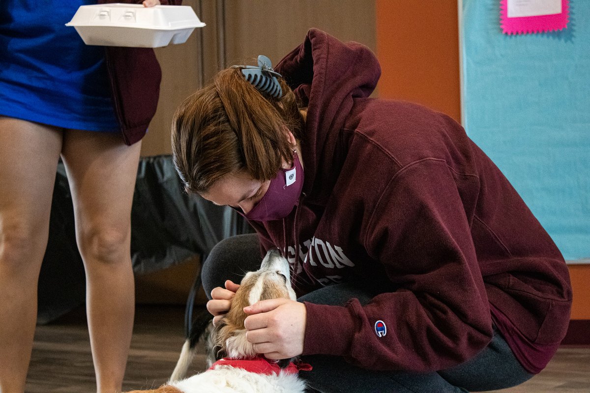 washcoll's tweet photo. Spending a little time with one of the visiting therapy dogs is a dog-gone great way for students to relieve some of that final exam stress! And in case you missed them, Gryff will be back on campus on both 12/15 and 12/16. #washcoll #finalsweek #therapydogsofinstagram https://t.co/1OMbZGgbWA