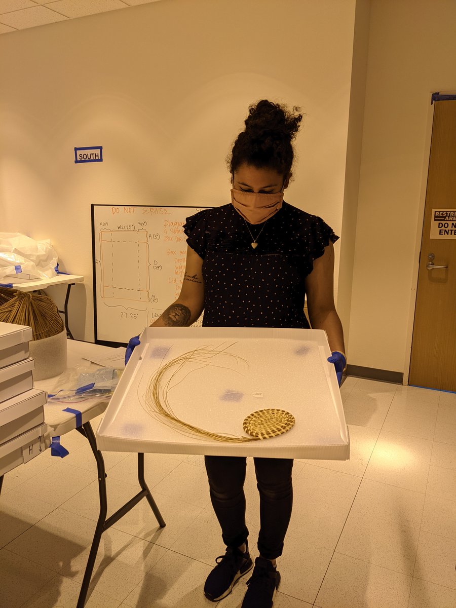 Global Museum SFSU tweet media