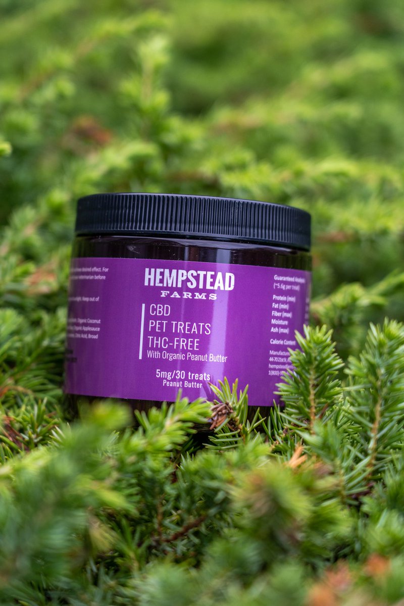 hempsteadfarms's tweet photo. Just as human CBD dosages vary based on several factors including weight, pain/stress level, and tolerance, so do dosages for pets: 

-It is suggested that you start your pet on a very low dosage and carefully watch their behaviors and reaction to CBD. https://t.co/O4pIPGeARA