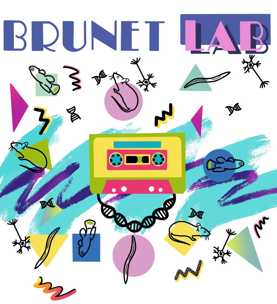 Brunet Lab tweet media
