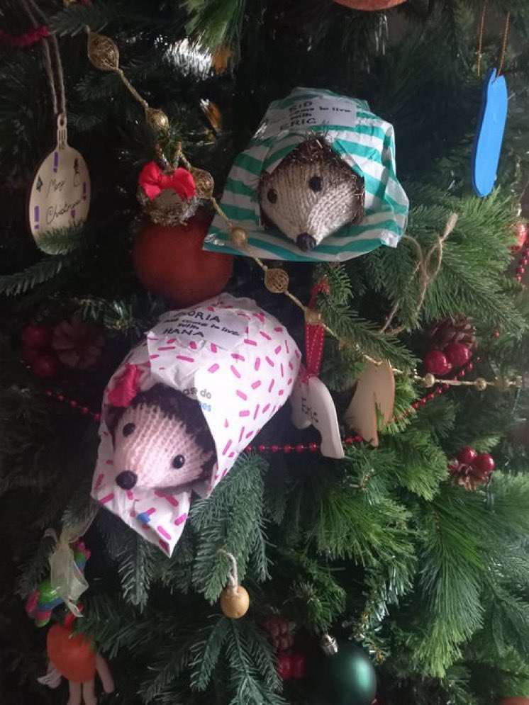 AnimalProjectNS's tweet photo. A lovely pair of hogs who have found their home🐾 https://t.co/kNbtmrsOhL