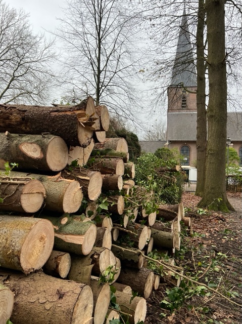 Barneveld laat het monumentale groene hart uit Voorthuizen kappen, waarom? Veel gemeenten zijn zuinig op hun erfgoed en groene gebieden en de overheid stimuleert de aanplant van bomen door burgers. Is dit illegaal?  Er loopt een procedure bij de Raad van State.