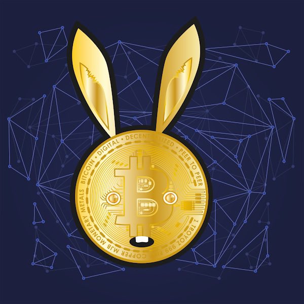 RabbitsCrypto's tweet image. 