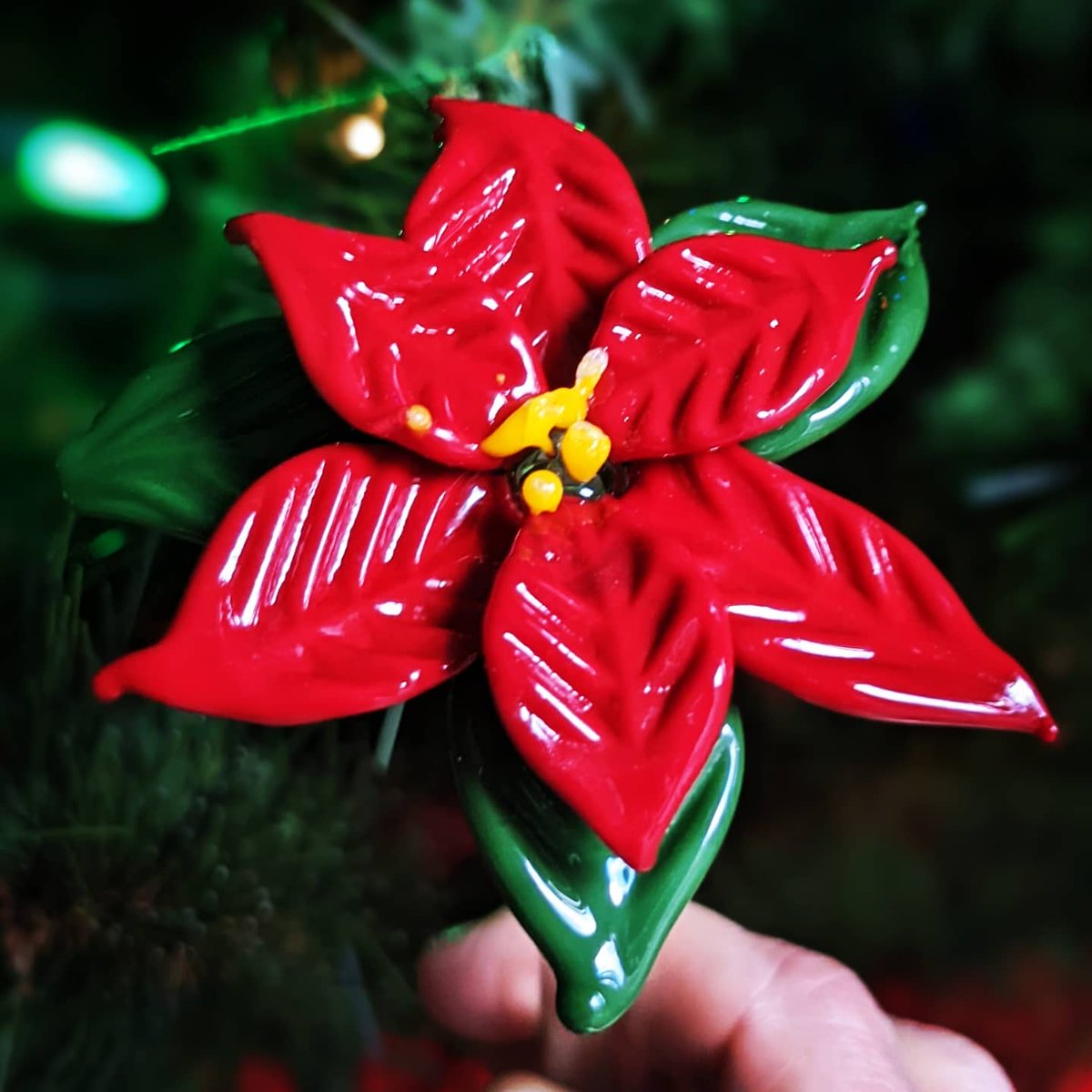 OshnGirl's tweet photo. My latest #GlassBlowing project... poinsettias! Just in time for Christmas, this was my first attempt #BoroGlass #GlassFlower #TorchWork https://t.co/GNkRM6ouCt