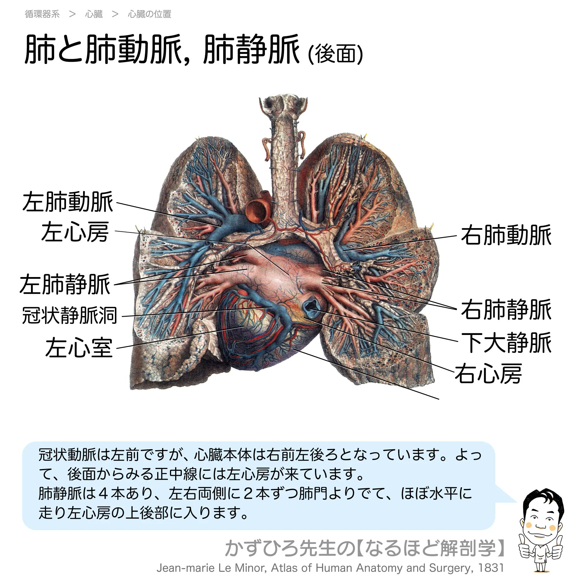 黒澤一弘(かずひろ)解剖学IT教育・指圧師・ラダック on X 黒澤一弘(かずひろ)解剖学IT教育・指圧師・ラダック on X