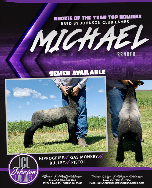 noveldesigns's tweet photo. Michael - Bred and Owned by Johnson Club Lambs - is a top nominee for Rookie of the Year. Vote at https://t.co/OSXpES9bQF https://t.co/gK5vJCfDV7