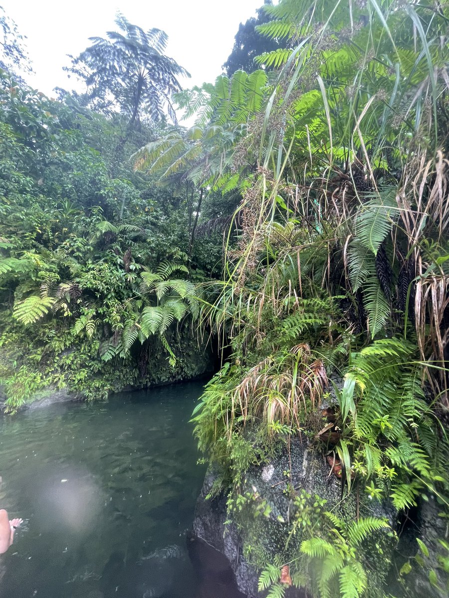 itscandicemcc's tweet photo. Swimming in the same gorge that Orlando Bloom has jumped in from POTC2 🇩🇲📍🍃 https://t.co/onp5BPnK26