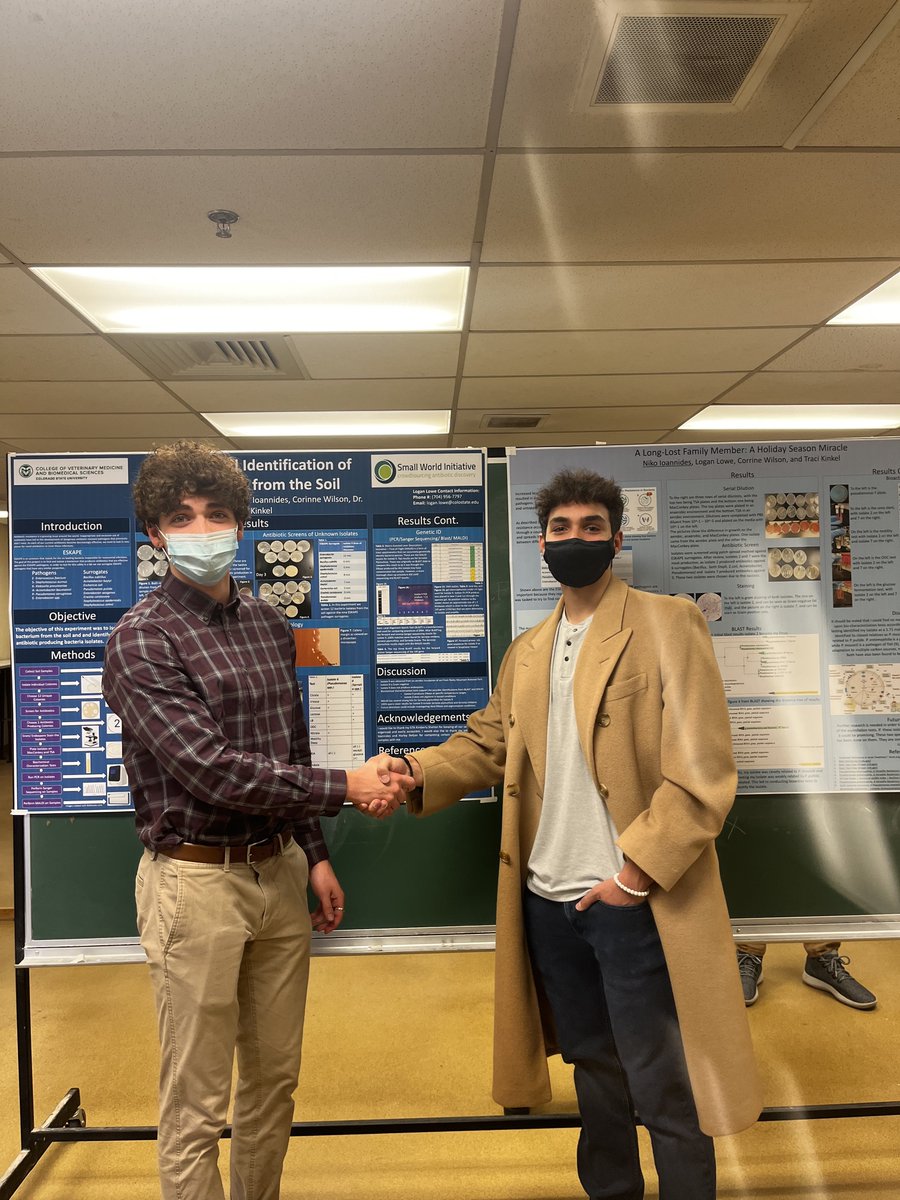 CSU_MIP's tweet photo. The end of the semester means awesome research poster sessions from our #Microbiology & #InfectiousDiseases students.📊🔬Traci Kinkel's #MIP 150 section investigated soil for potentially novel antimicrobial-producing #Bacteria.
#ResearchMethods #UndergradsInTheLab https://t.co/Pux9bfWR7c
