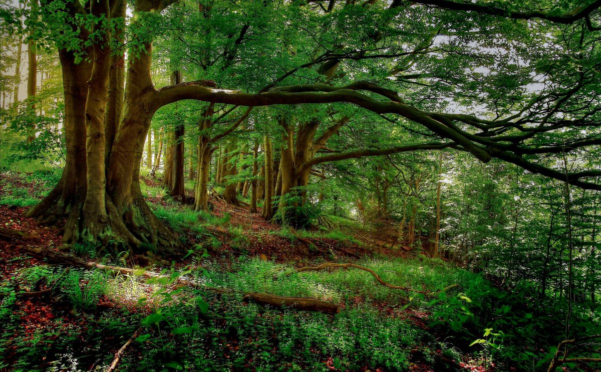 PatrickAcho_'s tweet photo. cannon wind strikes
across north-western deserts
residents scampering for safety
into neighboring woodlands
praying for peace
seeking security from its Aso
#poetry
#poetrycommunity #poetrythoughts https://t.co/J08vaKPdZz
