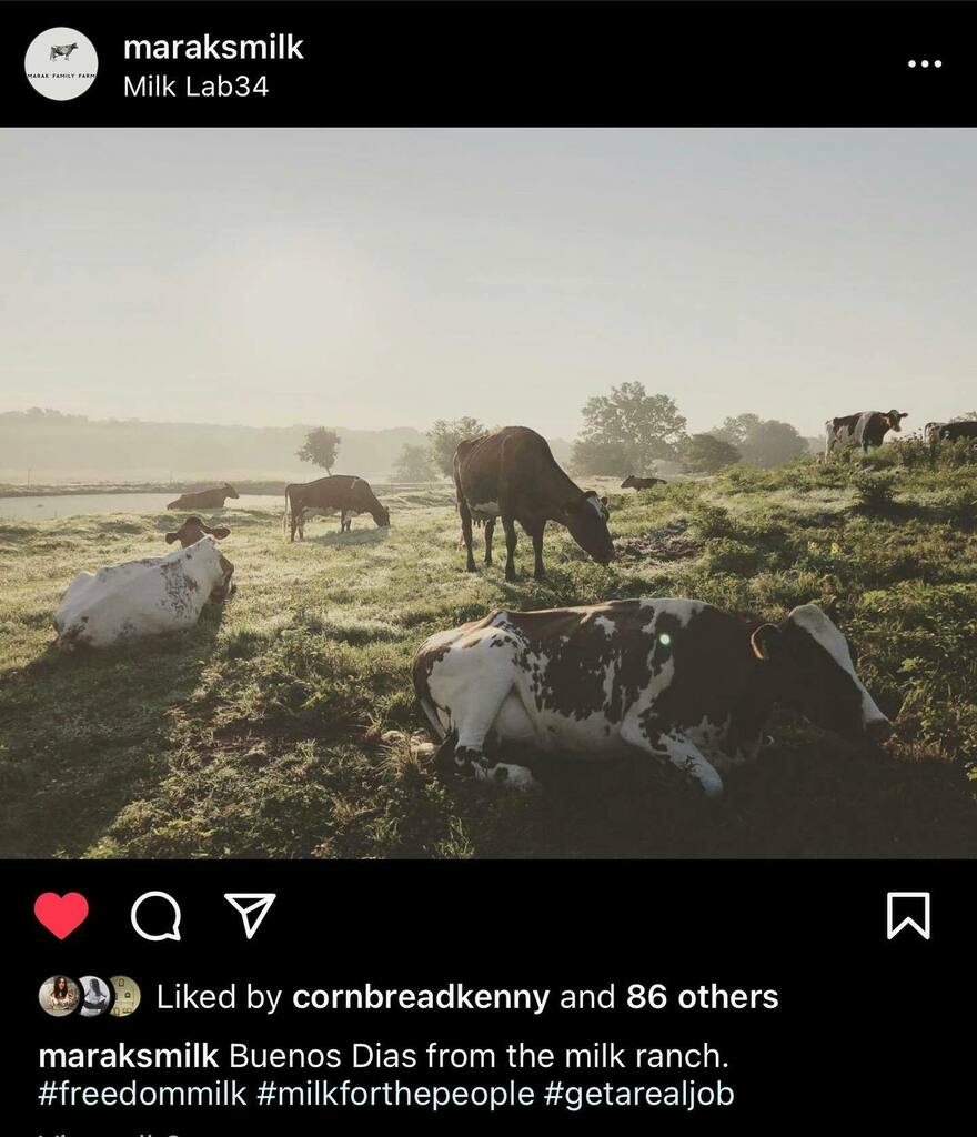 Ever wonder why our lattes our so rich and delicious? It’s because these babes produce the yummiest most delicious milk ever. 🐮 
#supportyourlocalfarmers #milk #moo instagr.am/p/CXem1BtLI6a/