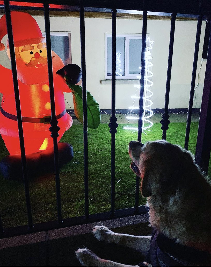 mandevillish's tweet image. #MeetingSanta