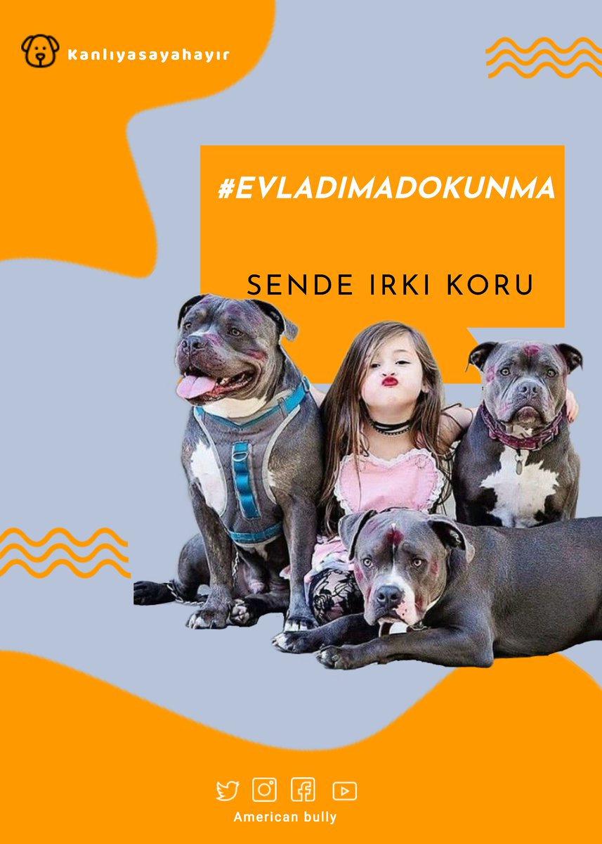 Maksutyldz53's tweet photo. #EVLADIMADOKUNMA 
Herkes RT yapsın 🙏 https://t.co/stJFvHPnDw