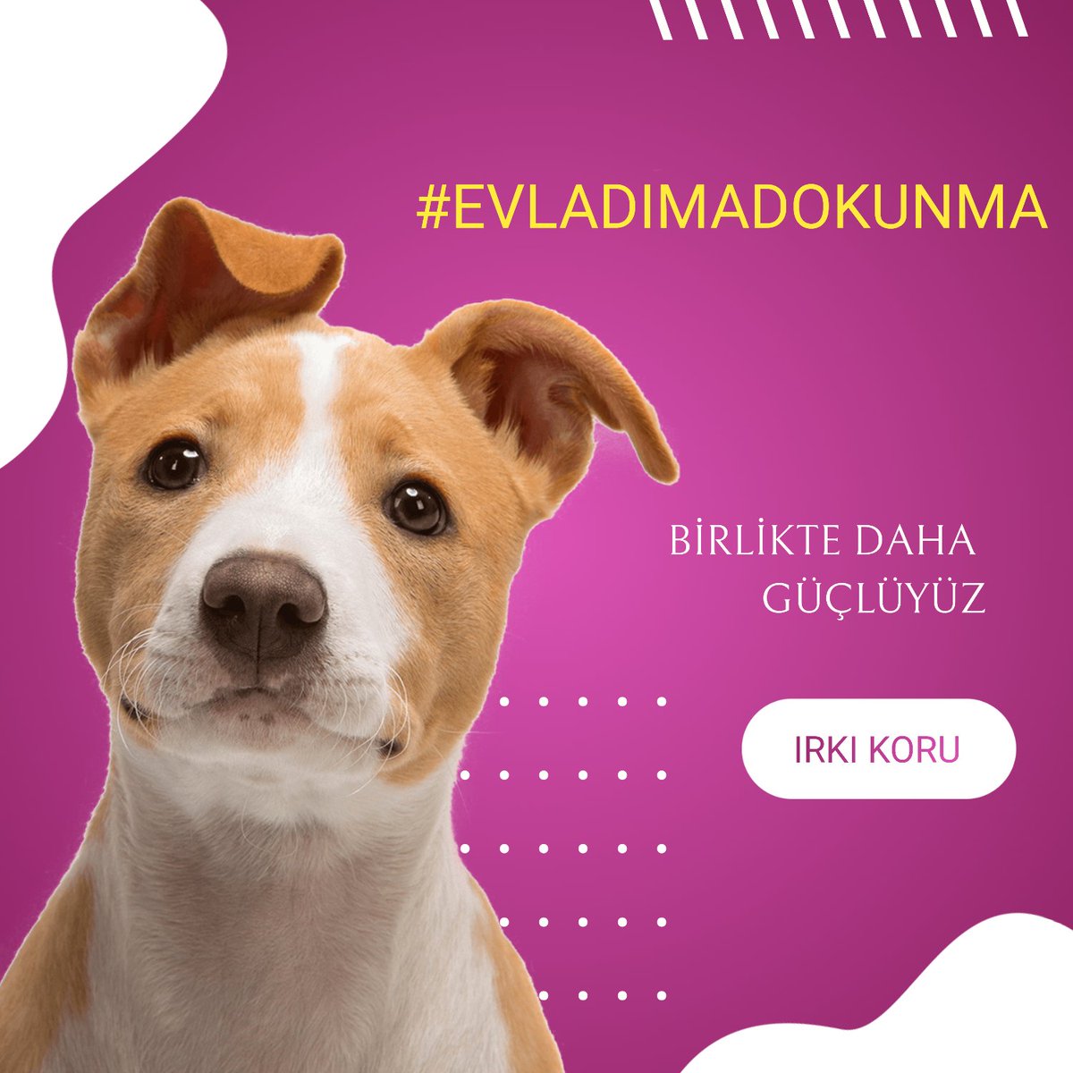 Maksutyldz53's tweet photo. #EVLADIMADOKUNMA https://t.co/g1MC7P3GpN