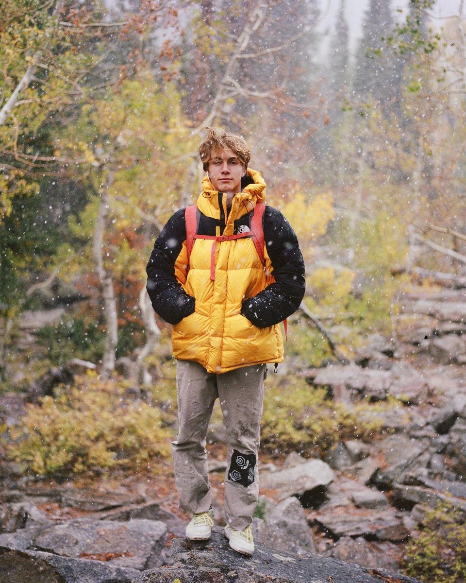 Daniel Gajda tweet media