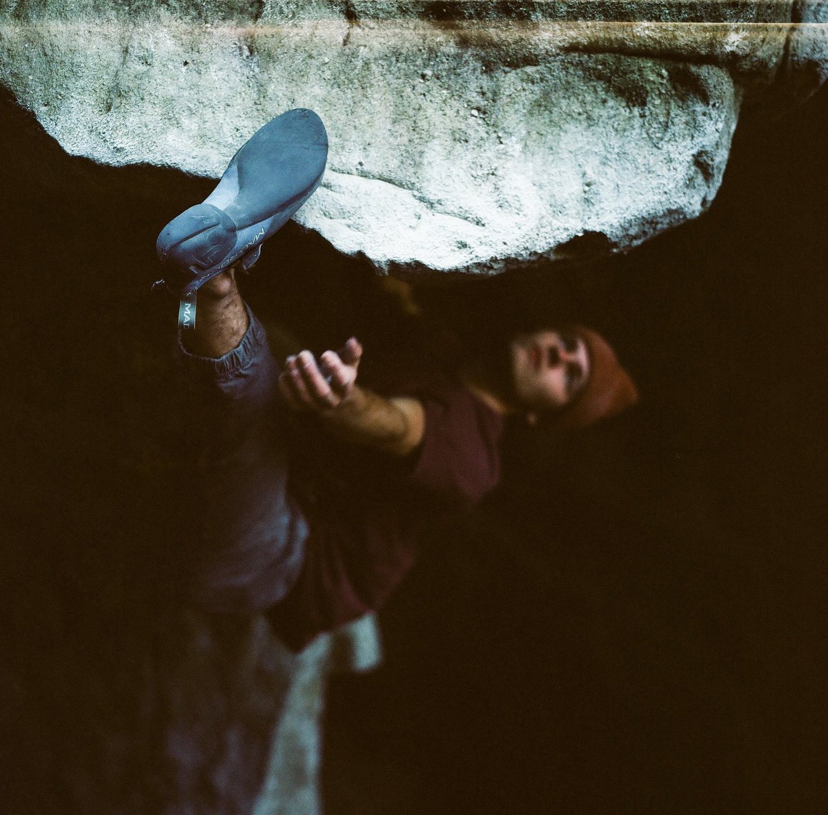 Daniel Gajda tweet media