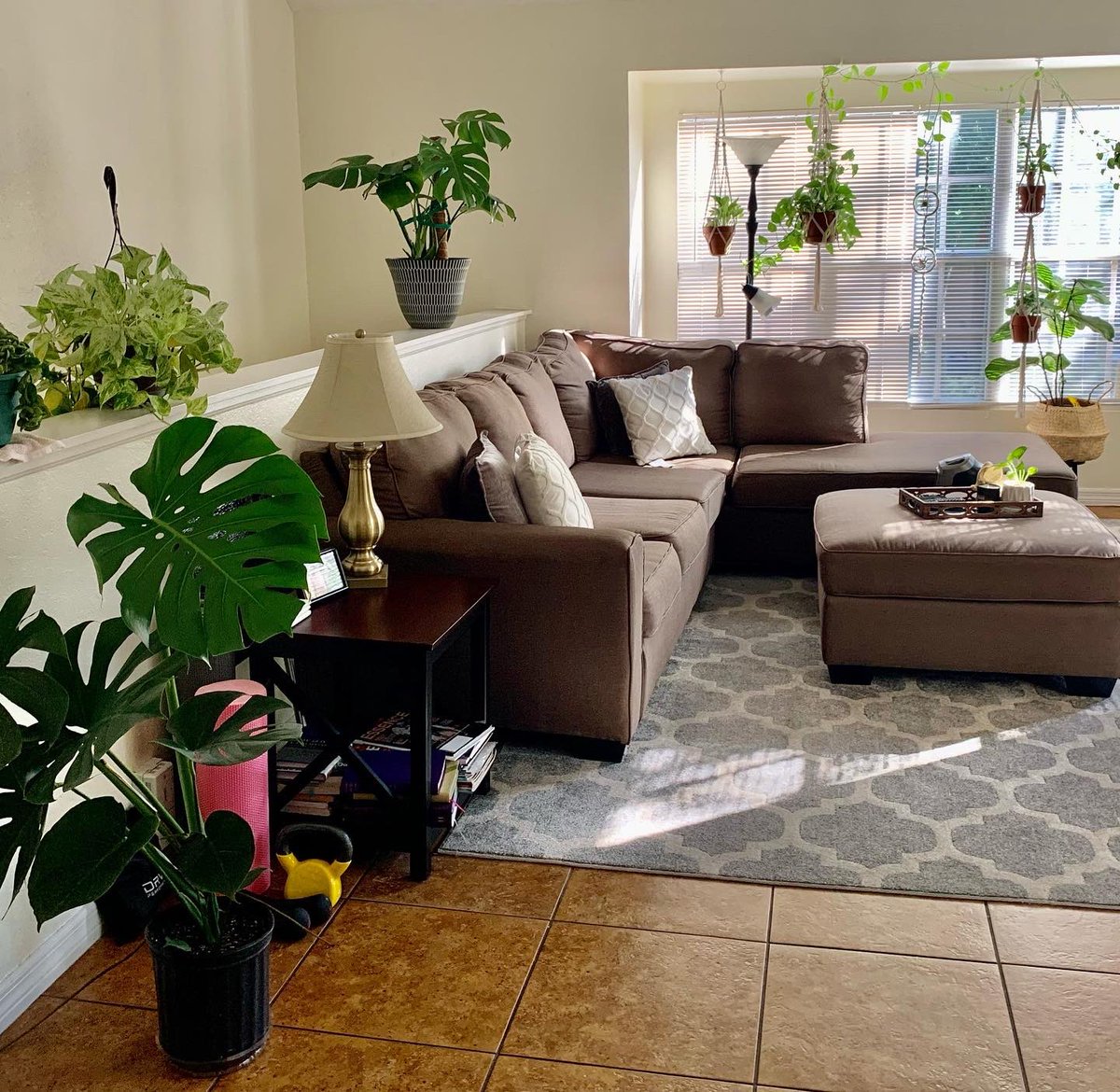 OfficialBOBDapp's tweet photo. Any #BlackPlantMamas or #BlackPlantDaddies in the house? πͺ΄
Follow @gemi_green for plant care tips and info on how to purchase your next plants from this black woman owned business. π±πΏπͺ΄
Visit https://t.co/LqKhV9BrGY to learn more ππΏ https://t.co/PSeN6m98gx