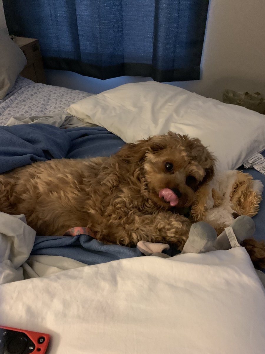 Having a happy TOT! 💋💕#TongueOutTuesday