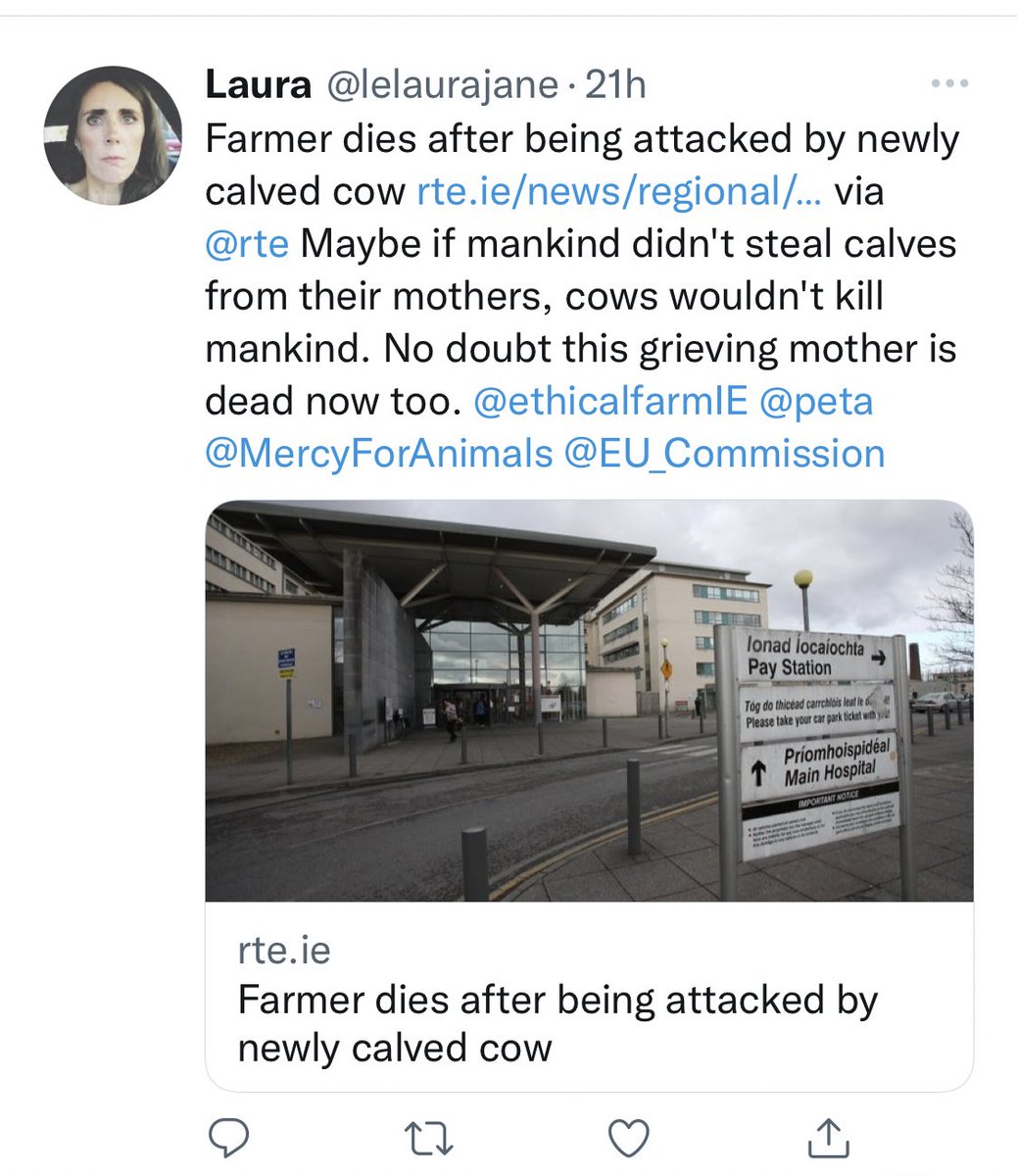 Shane McAuliffe 🐷✈️ tweet media