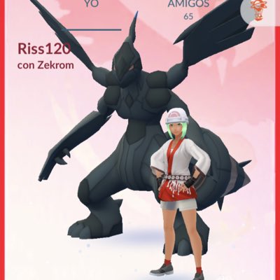 PokeRiss120's tweet photo. My new friend… #PokemonGo #PokemonGoFriends #NuevaFotoDePerfil https://t.co/Rh7MkKJte3