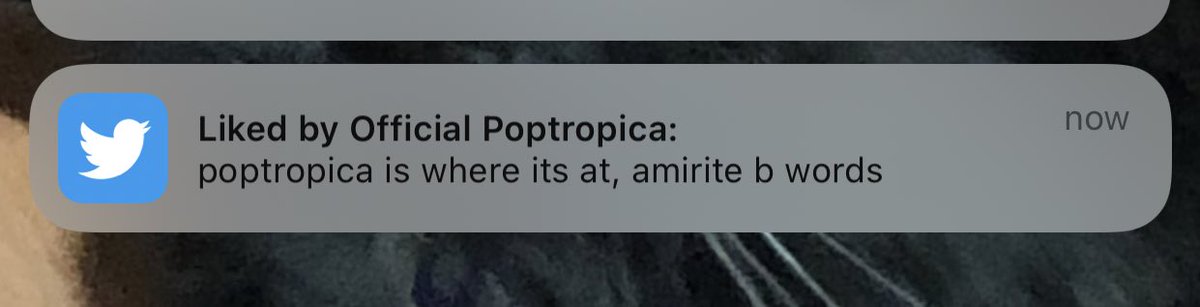 buttered toast tweet media