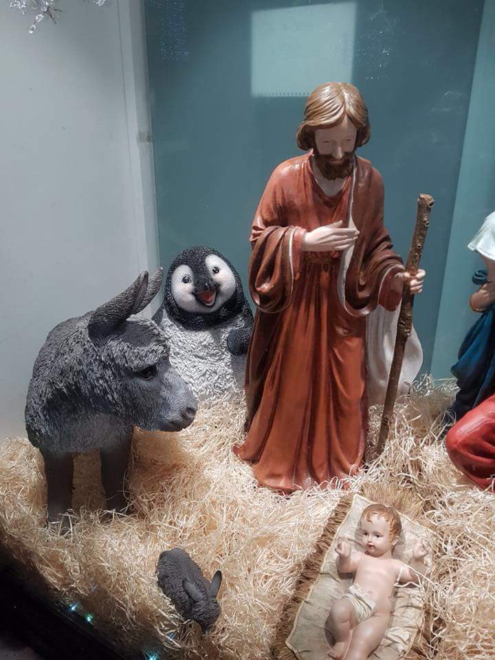 sileharpist's tweet photo. Your annual reminder that one year I saw a very happy penguin in the crib in Macroom https://t.co/C3RkLGoWMk