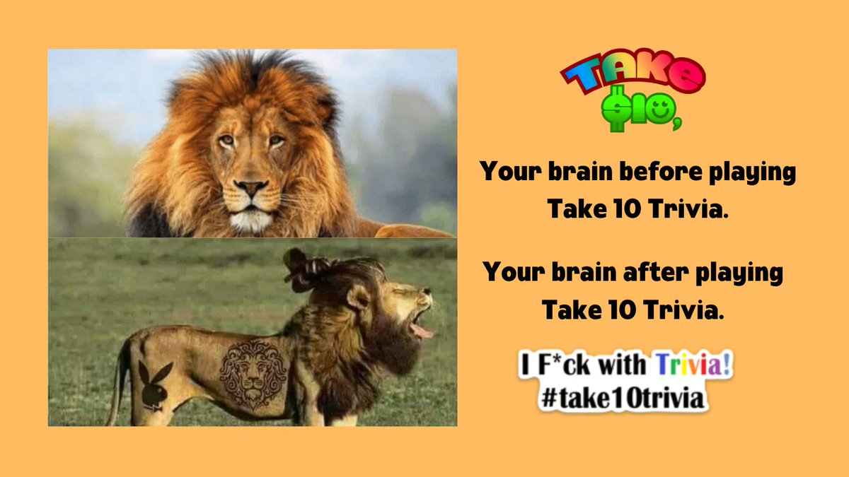 Take10Trivia's tweet photo. Playing Take 10 Trivia daily = Sharp brain and amazing prizes. 🧠
Download and WIN now.
Available in Play Store and App Store - https://t.co/Hu4bzMkGsI
#memes #meme #memesdaily #lol #laugh #fun #trivia #take10trivia #triviatime #quiz #brainexercise #prizes #onlinegames https://t.co/vAp8X1FMdw