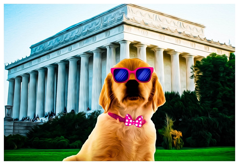 WDCmetaverse's tweet photo. @MiatesNFT Wandering Doge Metaverse https://t.co/1fOqTB0Csa