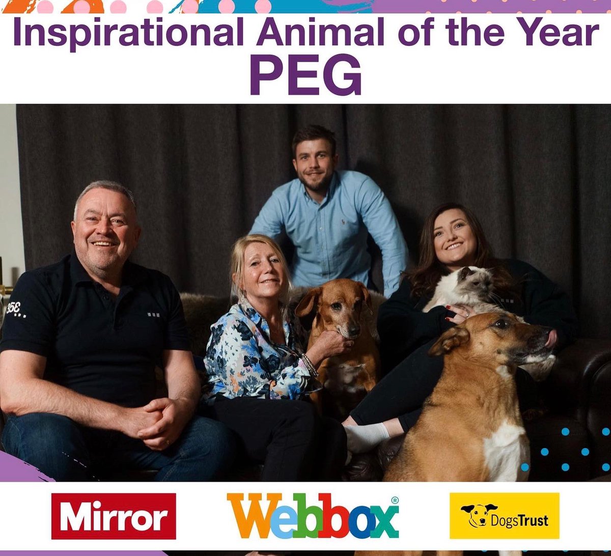Peg takes the Lewis family to many crazy places but winning the <a href="/PeoplesPetAward/">People's Pet Awards</a> Inspirational Animal of the Year award last week was up there with the best 🙌🏼. This is for everyone who supported the @nowzad and 353 appeal this year! #GetBusyLiving