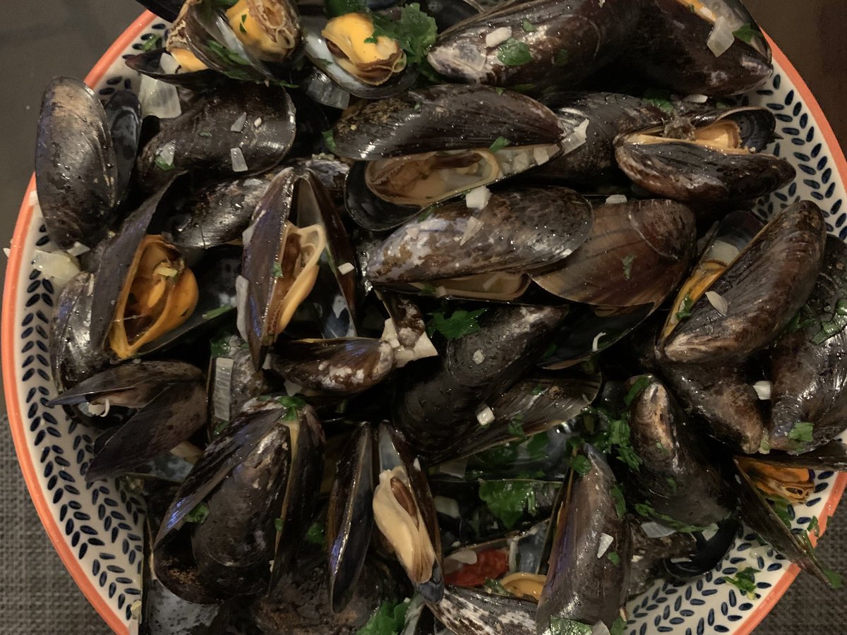 OneRobot | 𝐒𝐑 🤖🤍💎 tweet media